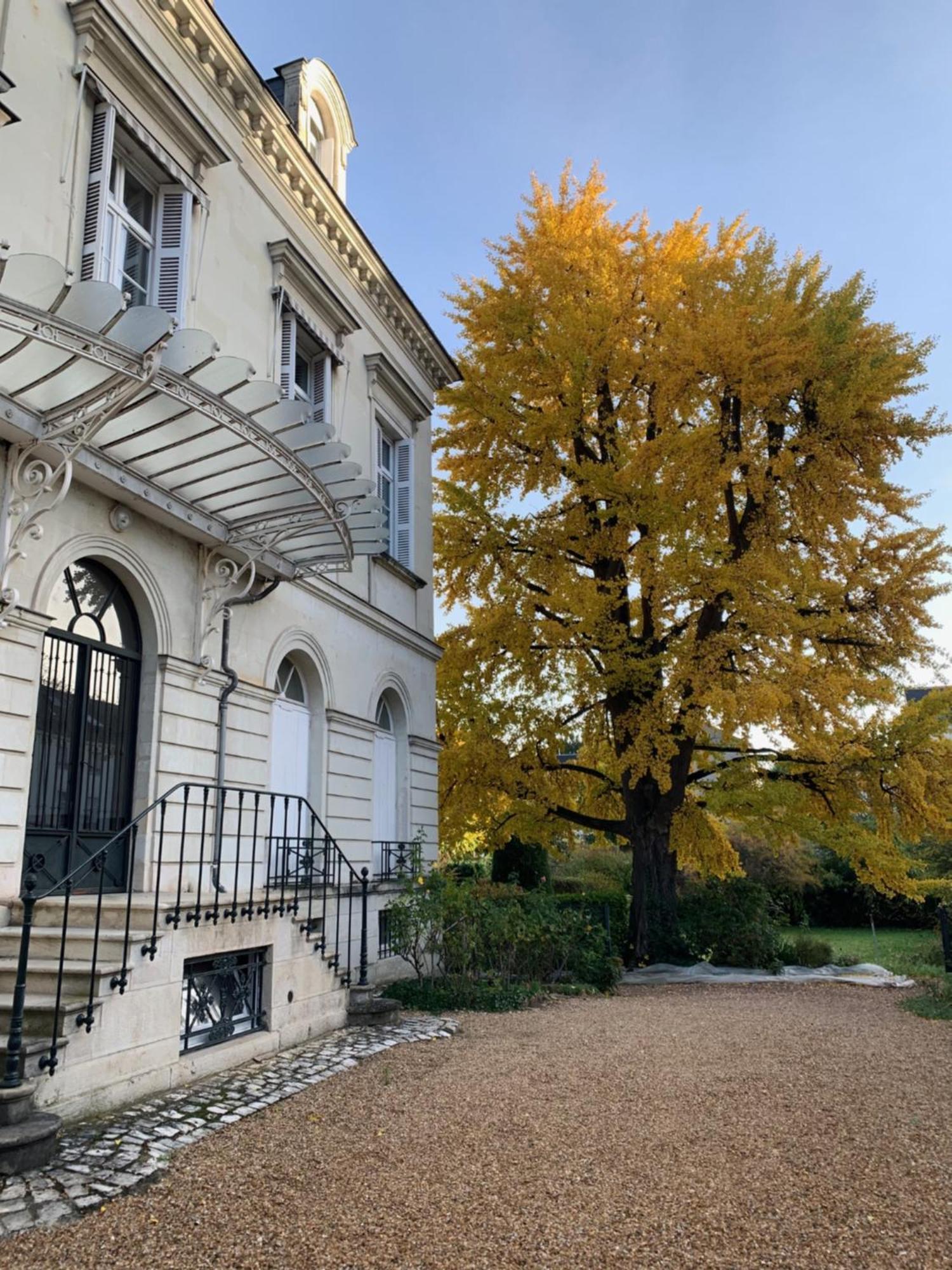 Apartamento A L'Abri Du Ginkgo Tours Exterior foto