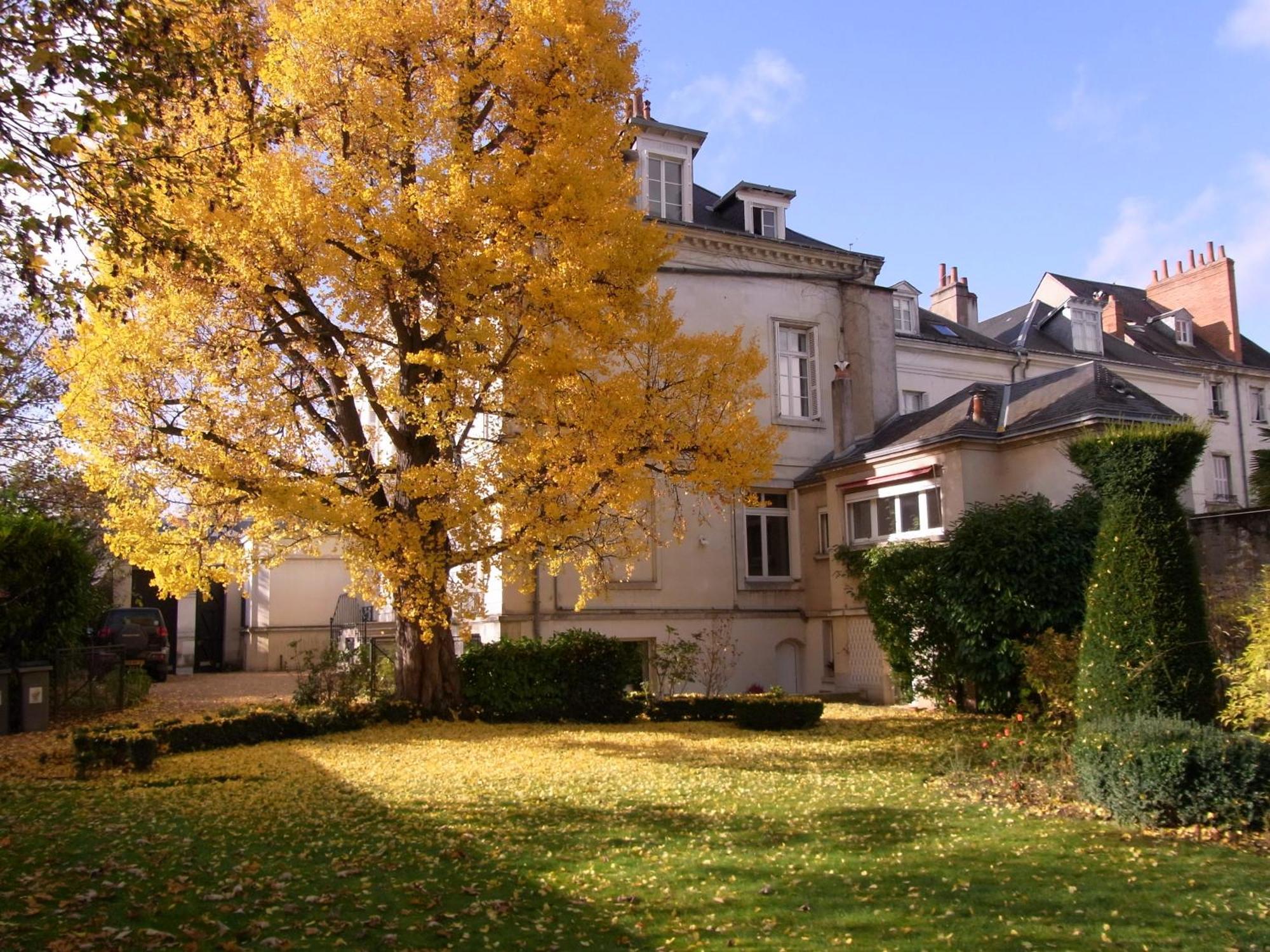 Apartamento A L'Abri Du Ginkgo Tours Exterior foto